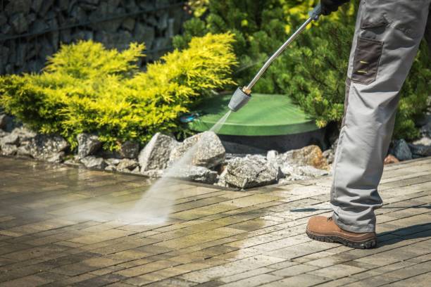 Best Animal Enclosure Cleaning  in Alto, TX