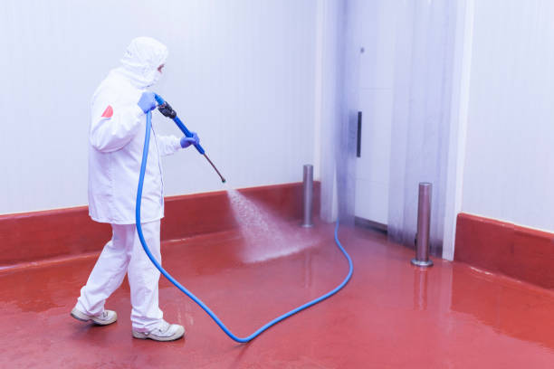Best Pre-Holiday Cleaning  in Alto, TX