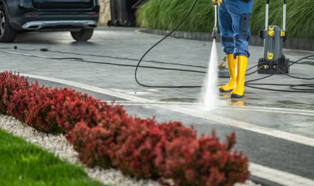 Best Dumpster Area Cleaning  in Alto, TX
